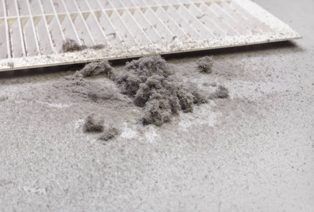 Best Professional Duct Cleaning Services  in Platte, SD