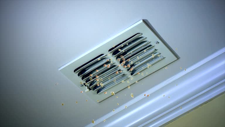 Best General Air Duct Cleaning  in Platte, SD